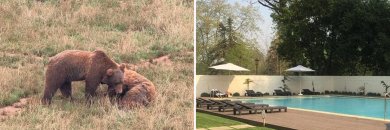 Cabárceno e relax: natureza e bem-estar na Cantábria