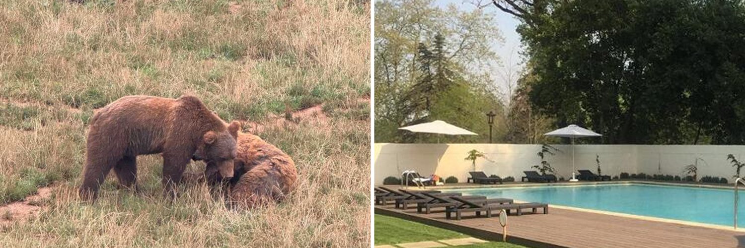 Cabárceno e relax: natureza e bem-estar na Cantábria