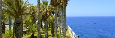 Tenerife sud: plages dorées et soleil éternel