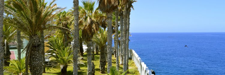 Tenerife sud: plages dorées et soleil éternel