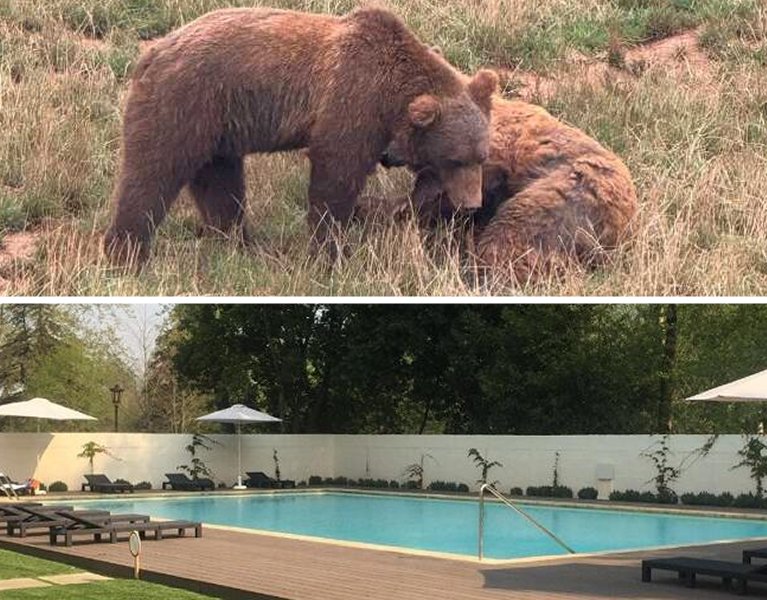Cabárceno et détente : nature et bien-être en Cantabrie