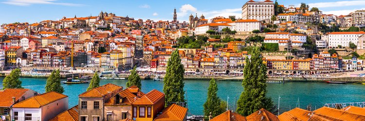 Escape near Oporto with cruise and winery tour