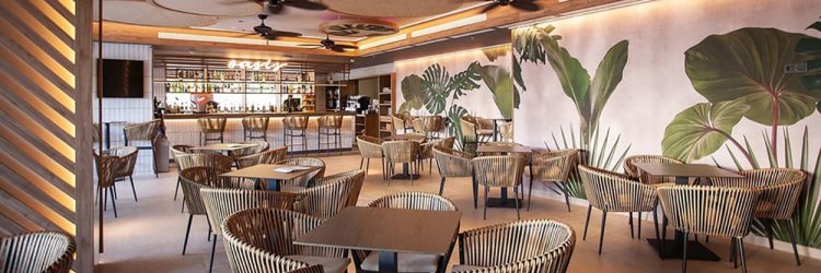Experience Benidorm in Style