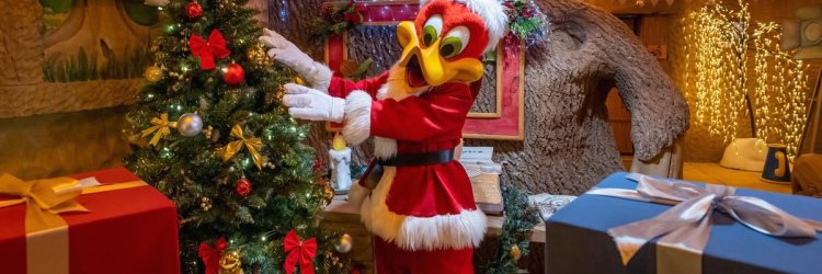 Sonne, Meer & Action: euer Abenteuer in Salou mit PortAventura World® & Ferrari Land