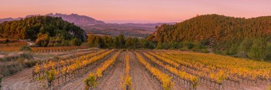 Expérience de luxe : un voyage au cœur de la région du Penedès dans un hôtel 4*.