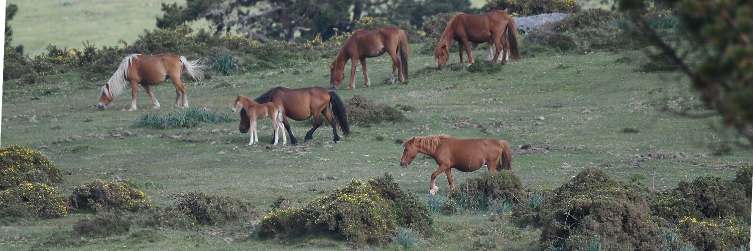 Rural charm and Galician flavour near Ourense