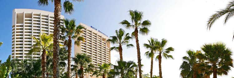 Pensão Completa em Benidorm 1º filho GRATUITO!