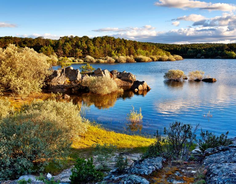 Slow rural days in Soria