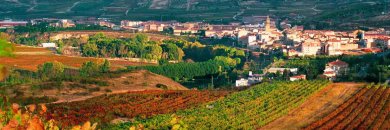 La Rioja convida: vinhos, paisagens e puro descanso