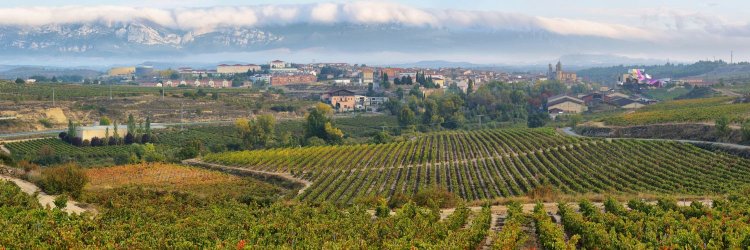 Discover La Rioja: wine, comfort & countryside charm