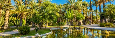 Palm groves & heritage in Elche: unique oasis just inland from Alicante
