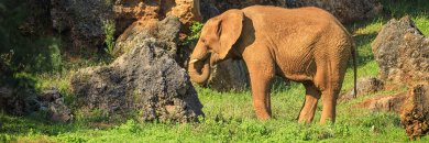 Norte de Espanha: viagem com opção Cabárceno