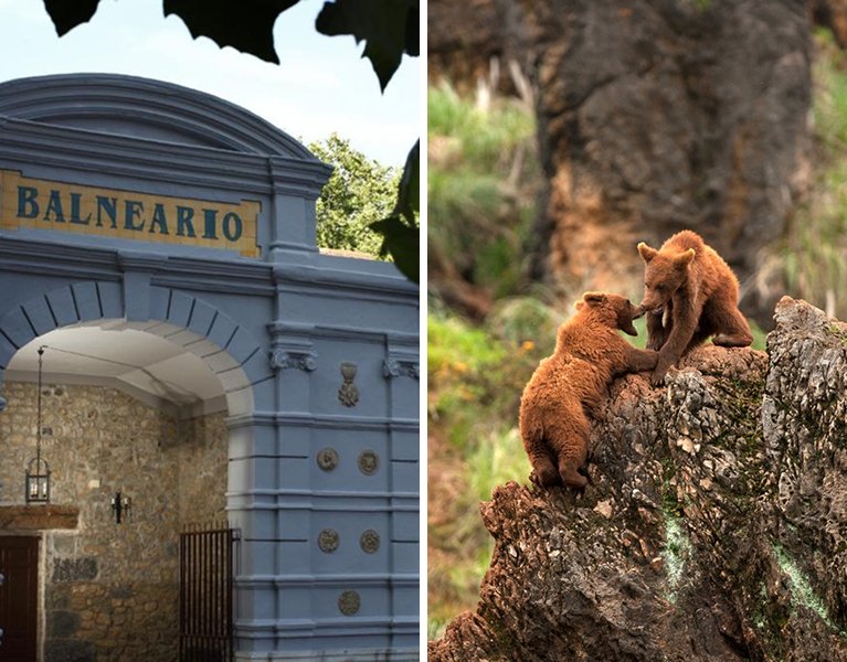 Disconnection in Cantabria: With option to Cabárceno!