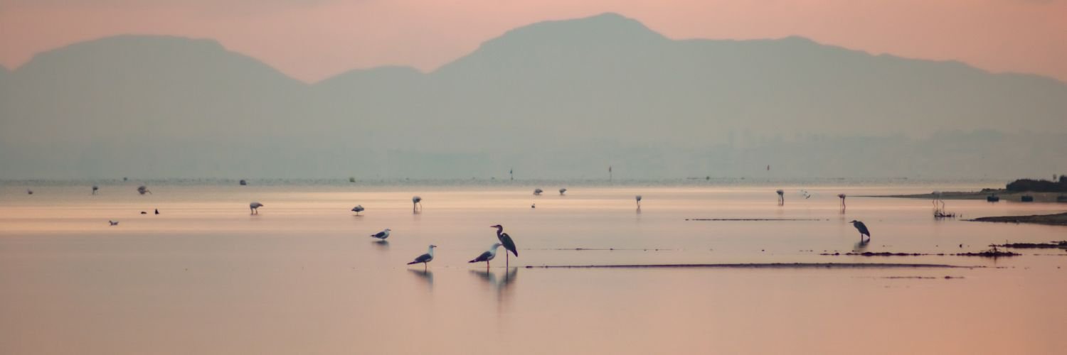 Estadia 4 estrelas no Mar Menor, Lo Pagán: piscina na cobertura e meia-pensão