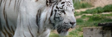 Your relaxing paradise in Alhama de Aragón!