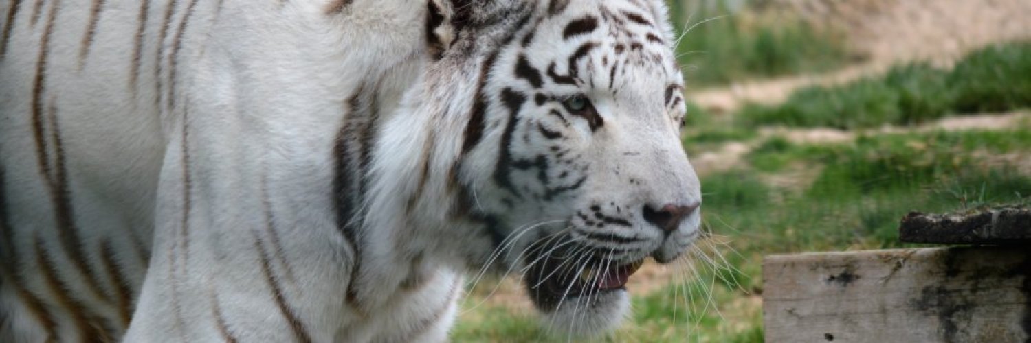 Your relaxing paradise in Alhama de Aragón!