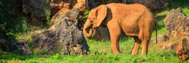 Cantábria sem complicações: Hostería El Pomar + Opção de incluir bilhete para Cabárceno