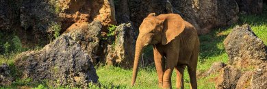 Cantabria with entrance to Cabárceno Nature Park!