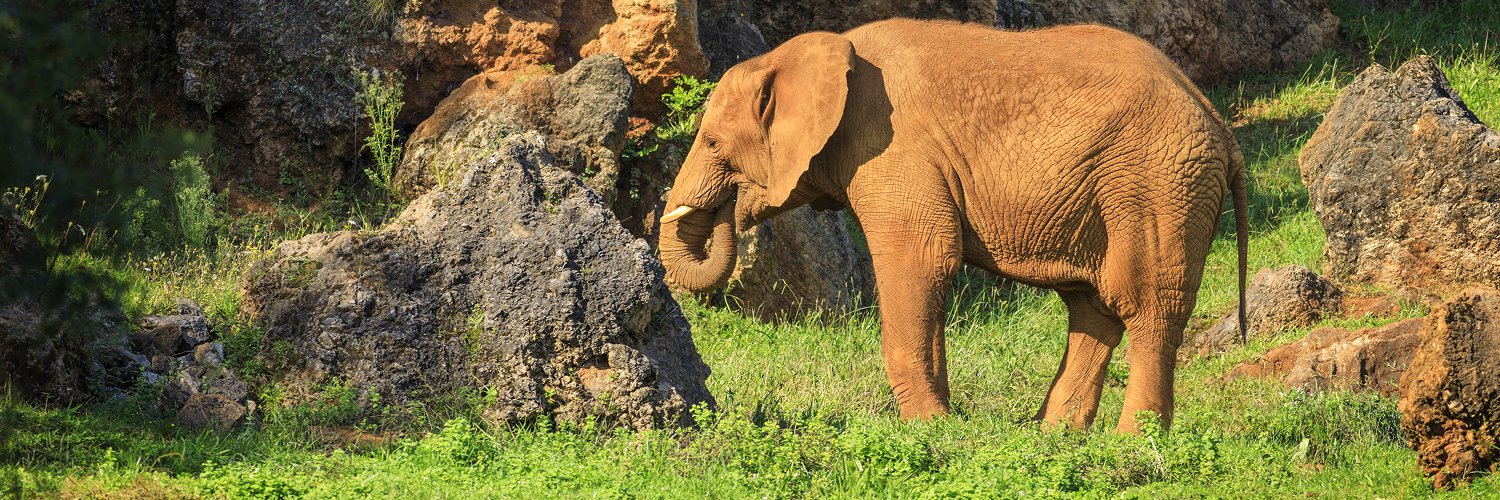 Descubra a Cantábria e viva a experiência Cabárceno!