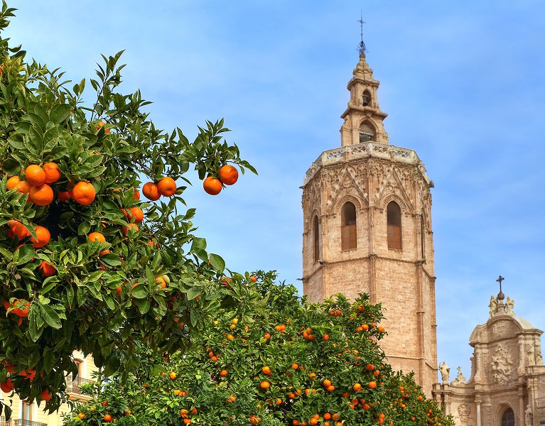 Relaxed days near Valencia