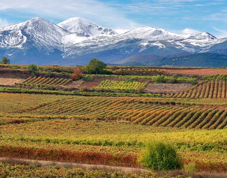 Relax at Villa Resorts located in La Rioja