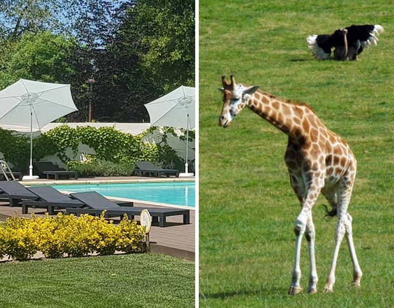 Your holiday to Cantabria with Cabárceno option