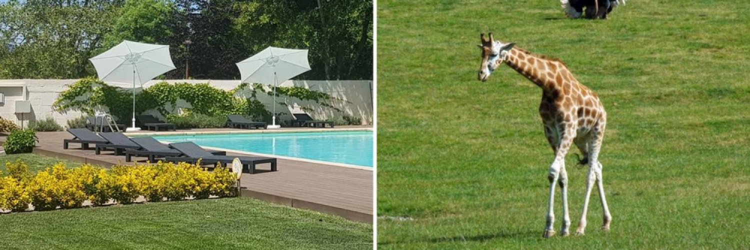 A sua escapadela à Cantábria com opção para Cabárceno