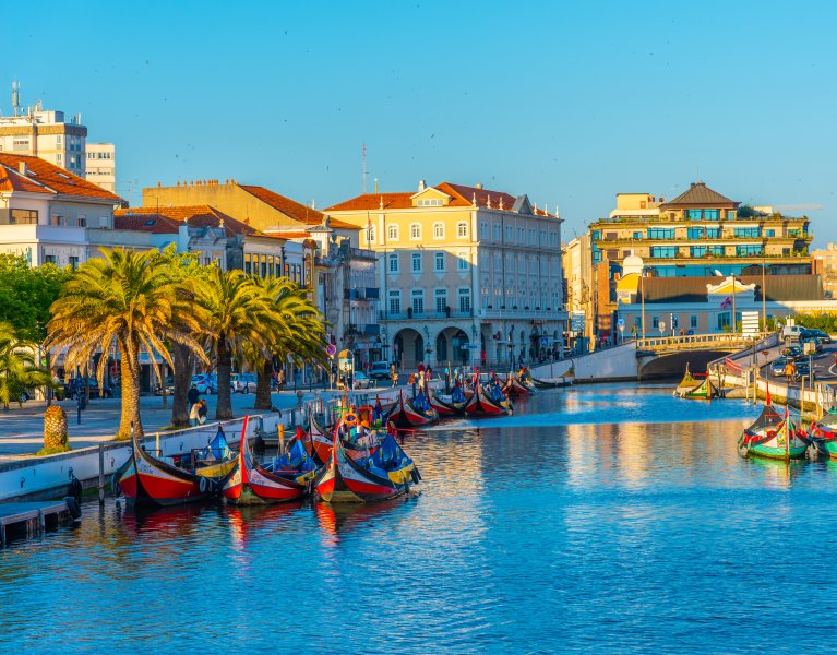 Experience the true magic of Aveiro from a moliceiro boat