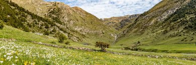 Erleben Sie die Höhenlage von Canillo von Ihrem 4-Sterne-Hotel in Andorra aus
