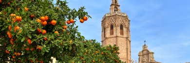 Nur einen Katzensprung von Valencia entfernt! 4-Sterne-Hotel mit beheiztem Pool
