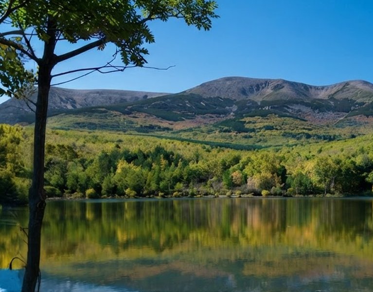 Aux portes du Moncayo : profitez d'Ólvega au meilleur prix