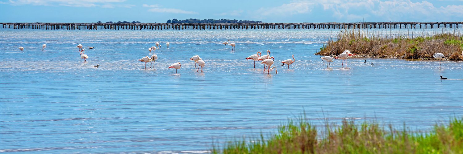 Deltebre, o lado selvagem da Costa Daurada