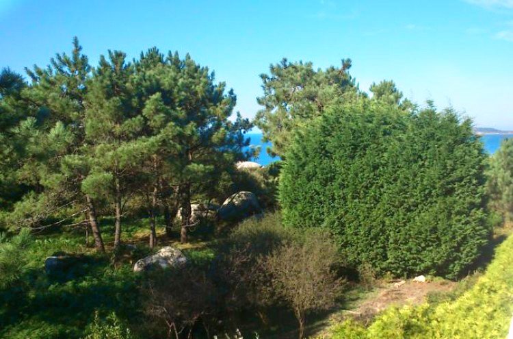 Experience the seaside charm of O Grove Galicia - Destination