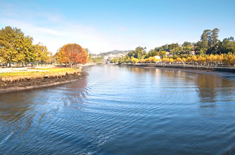 Experience the seaside charm of O Grove Galicia - Destination