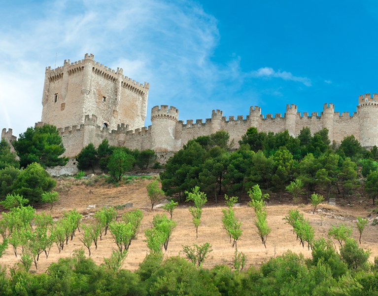 Peñafiel: Ribera del Duero and a thermal circuit