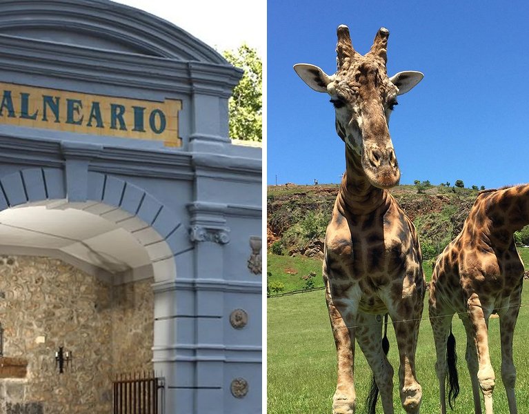 Cantabrie : spa et parc de Cabárceno