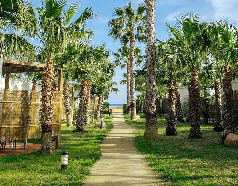 Miami Platja: bungalows with a water park