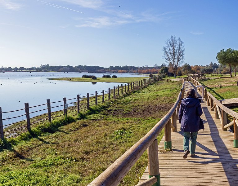 Doñana: pine forests, marshes and flamingos