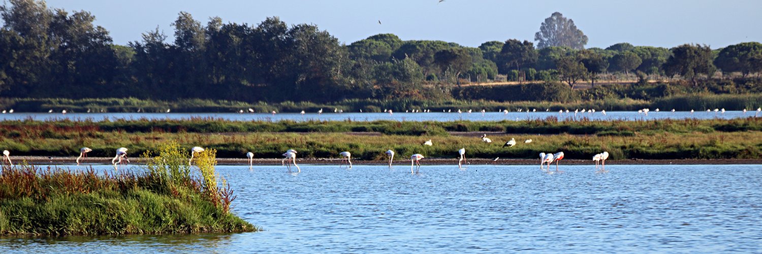 Sleep surrounded by nature and explore Doñana National Park