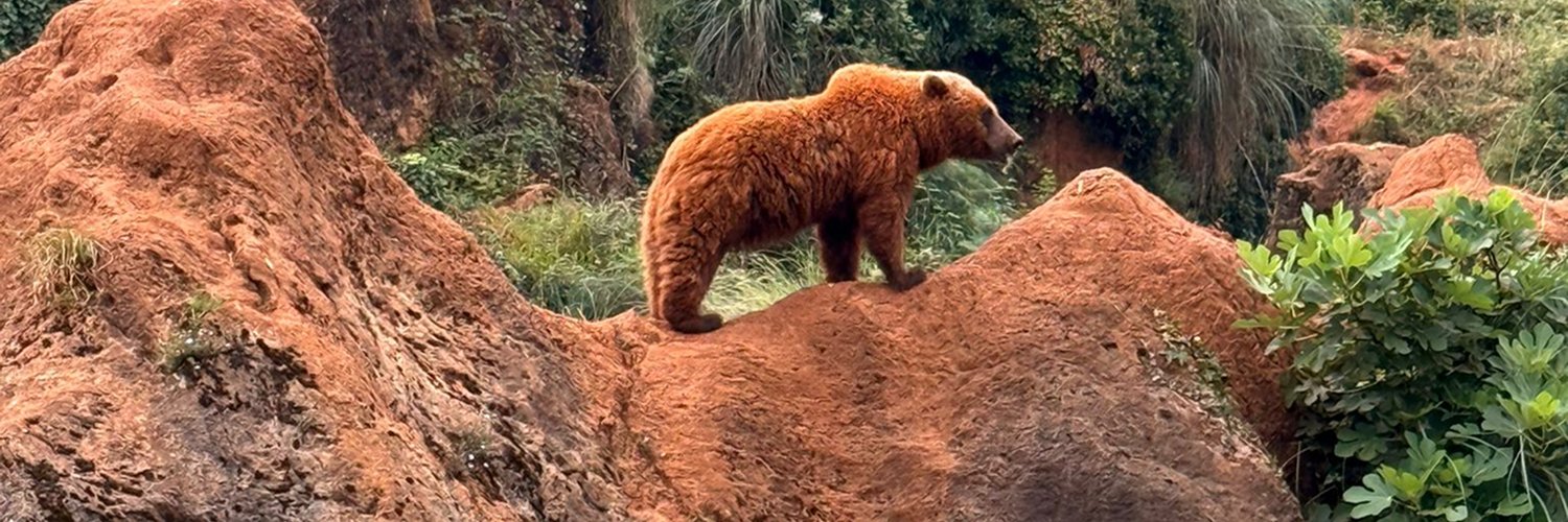 La Cantabrie à l'état sauvage ! Une escapade à la campagne avec la possibilité de visiter Cabárceno   