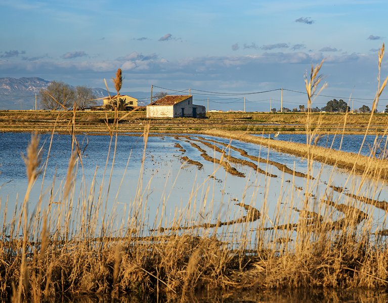 Découvrez Deltebre : le riz, les flamants roses et la Méditerranée
