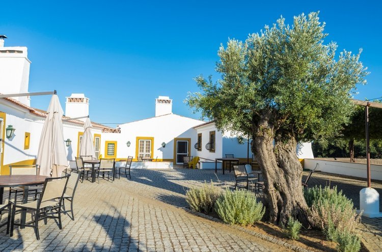 Évadez-vous au cœur de l’histoire et des traditions portugaises - Destination