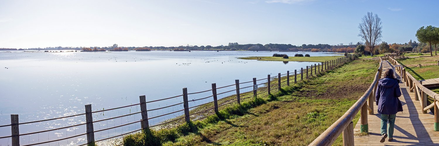 Découvrez Doñana ! Un paradis naturel unique 